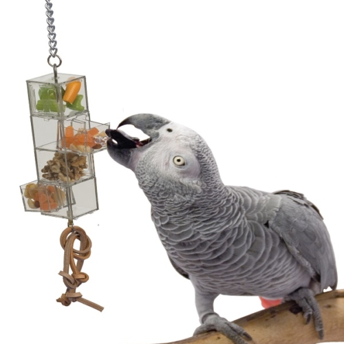 Foraging and Shreddable