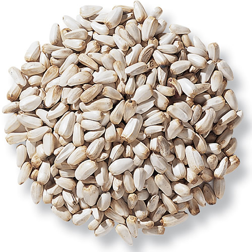 Safflower Seed – West Coast Tropical