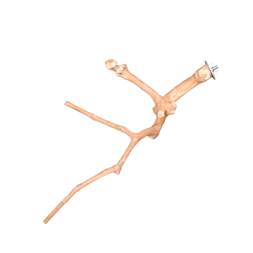 Java Multi Branches Tiny West Coast Tropical