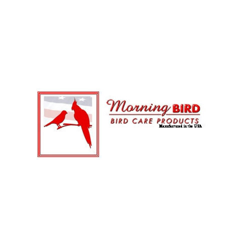 Morning Bird